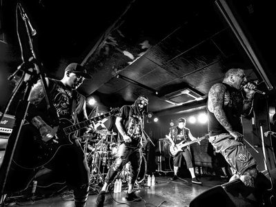 Insolence (Official) photo