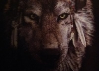 Introducing the New Black Wolf Studio at 77th Street Music