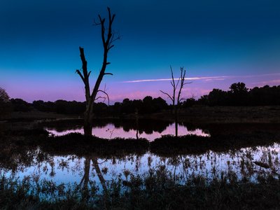 Steve Tichenor photo