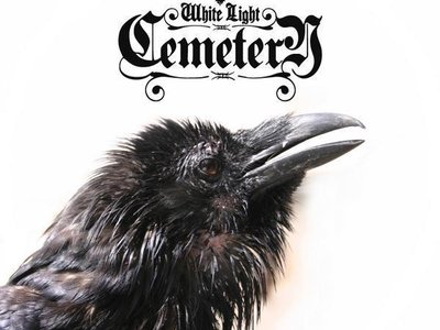 crow logo 2