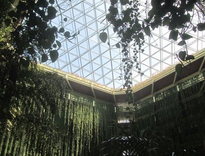 Paradisius lobby