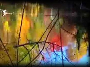 Voodoo Garden photo