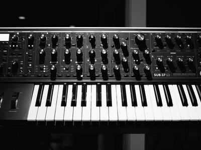 sub 37 moog