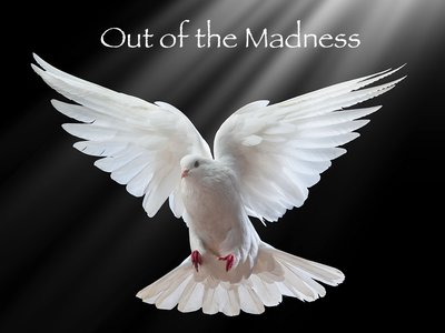Out of the Madness. Joe Figg/Fernando Garcin 2017