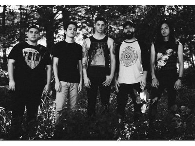 Anova Skyway photo