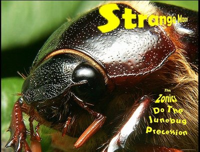 Front cover of "The Zonics Do the JuneBug Precession" album from our June 2009 Improv session