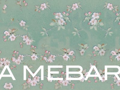 Isa Mebarak photo