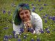 Texas Bluebonnets Rock