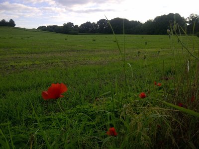 sounds of niederrhein photo