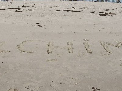 ALCHIMY MUSIC https://www.alchimymusic.band photo
