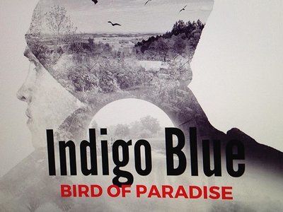 indigo blue photo