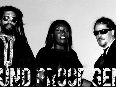 SoundProof Genie photo