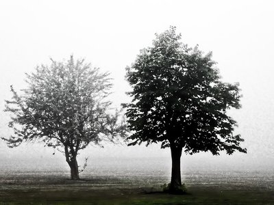 LAMM photo