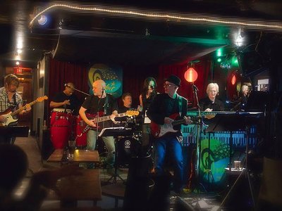 Dixie Chicken photo
