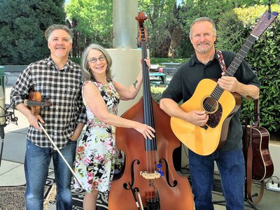 Homebrew Stringband photo