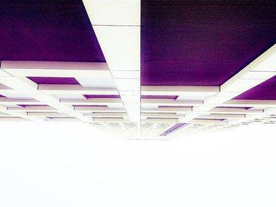 Edoardo Salazar photo