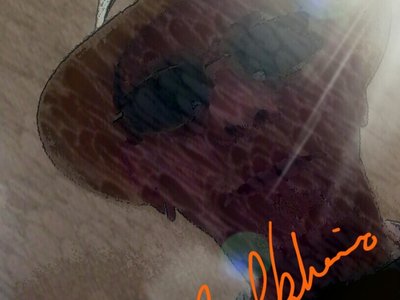 FREDY COOLBOHEMIO photo