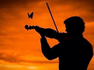 Fiddle during Sunset