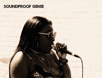 SoundProof Genie photo
