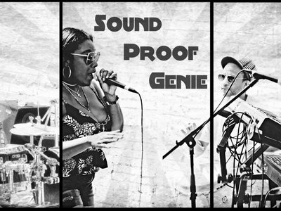 SoundProof Genie photo