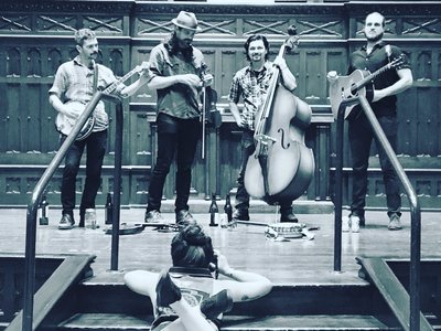 Scratchdog Stringband photo