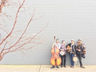 Scratchdog Stringband photo