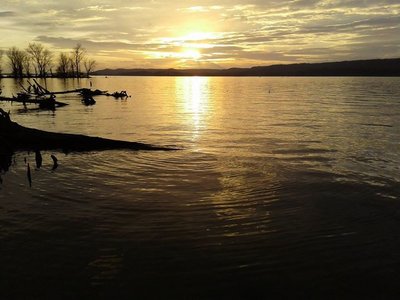 another Guntersville scene