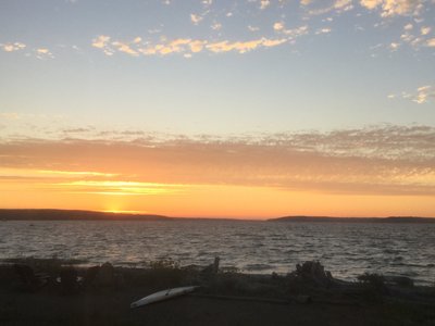 Debbie Kauble photo