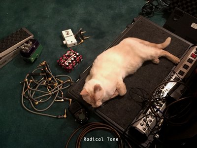 Radical Tone (Michael Lewis) photo