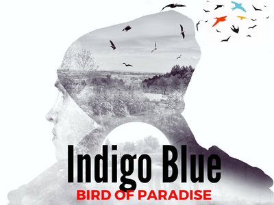 indigo blue photo