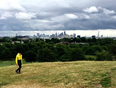 The Hill. 2017