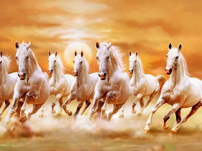 White Horses in summer