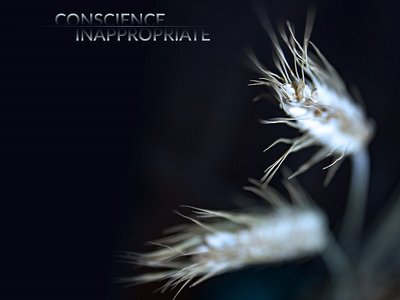 Conscience photo