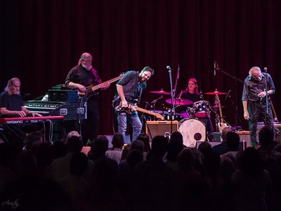 The Bill Miller Band photo