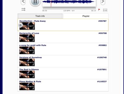 I composed all accompanying melodies for Pianist Liesching original pieces