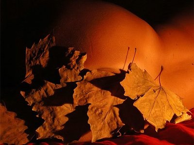 Nelson Ressio photo