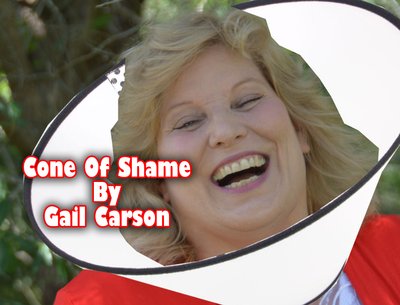 Gail Carson photo