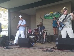 Sweetwater Muscadine Festival