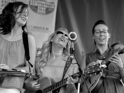 Fox Crossing Stringband photo
