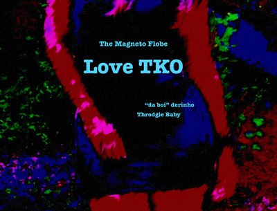 The Magneto Flobe photo