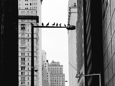 Edoardo Salazar photo