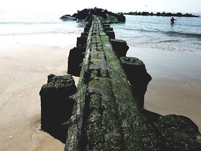 Edoardo Salazar photo