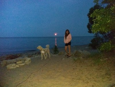 Pelee Island July 2016