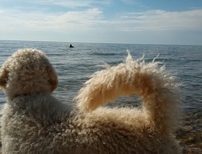 Pentwater Michigan Sept.2017