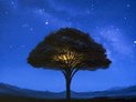kelly keeling photo