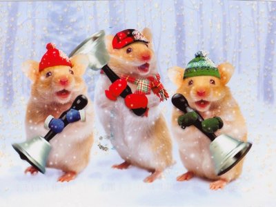 The New Christy Hamsters singing "Holy Shit, It's Christmas!"