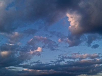 Diana Stone photo