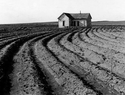 DONALD McCREA photo