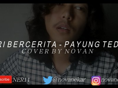 NER11 photo