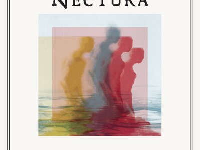 NECTURA photo